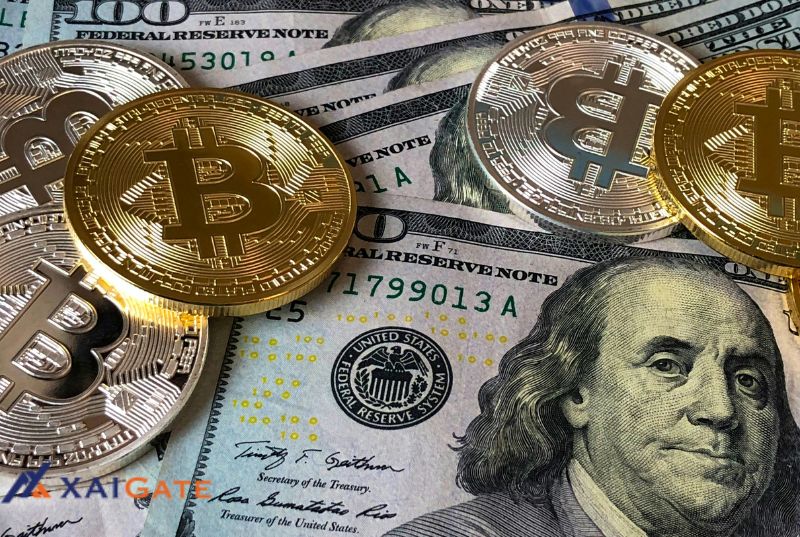 Which-low-fee-crypto-payment-gateway-is-the-best-in-2025?