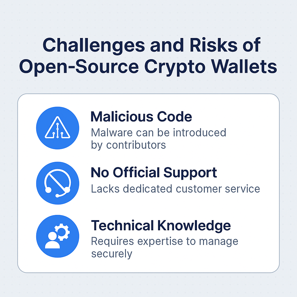 Challenges and Risks of Open-Source Crypto Wallets