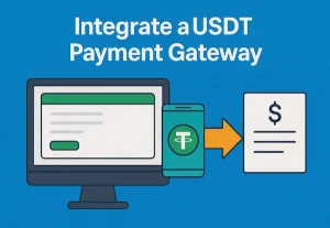 How to Integrate a USDT Payment Gateway xaigate