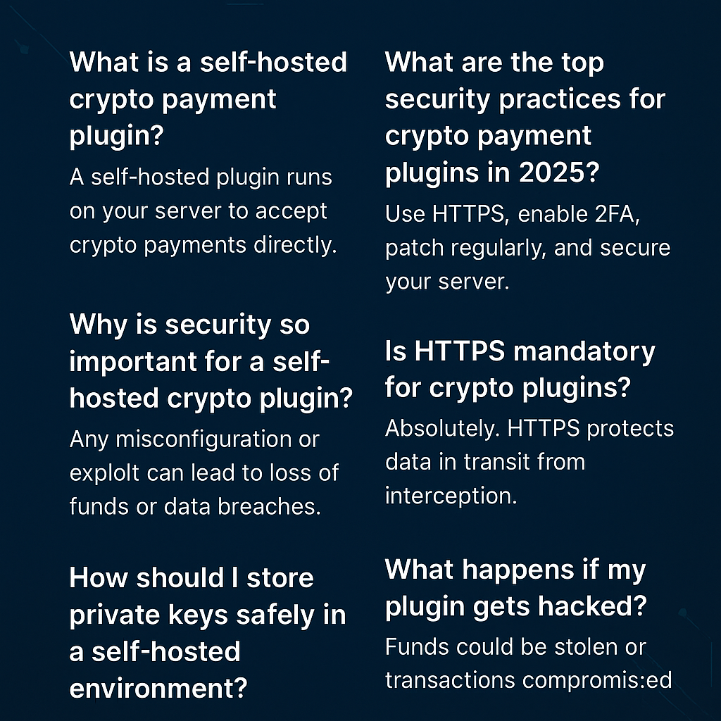 Self-Hosted Crypto Payment Plugin Security