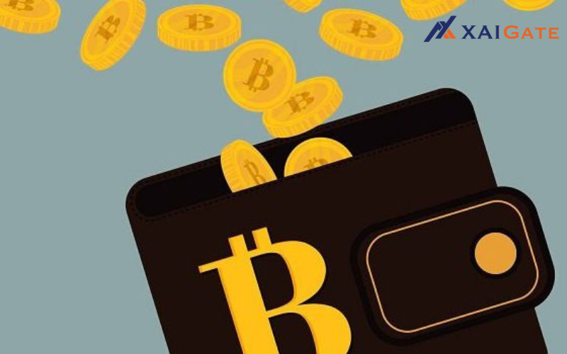 what-is-an-open-source-crypto-wallet