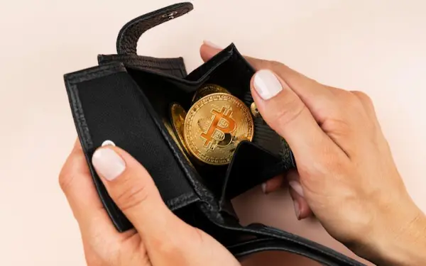 xaigate crypto payment gateway wallet for businesses