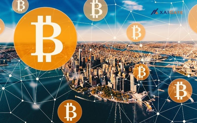 btc payment gateway