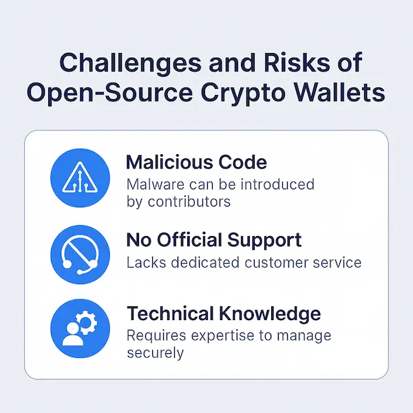 Challenges and Risks of Open-Source Crypto Wallets