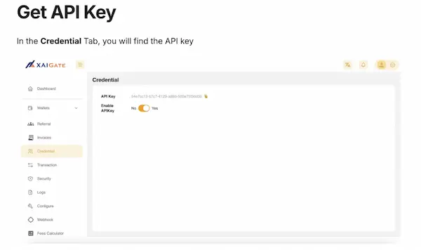 Get API Key