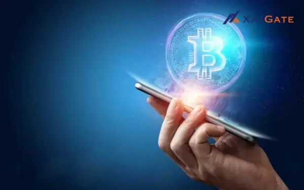Integrate a crypto API payment gateway to receive instant Bitcoin payments