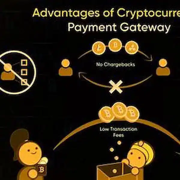 Top Advantages of Cryptocurrency Payment Gateways for E-commerce