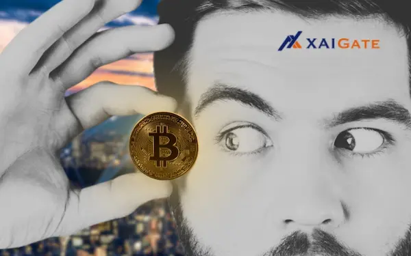 Who can check crypto wallet open source? And how?