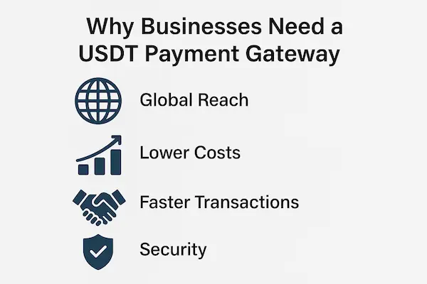 Why Businesses Need a USDT Payment Gateway
