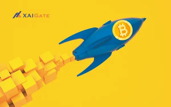 XAIGATE best crypto payment gateway for your startup