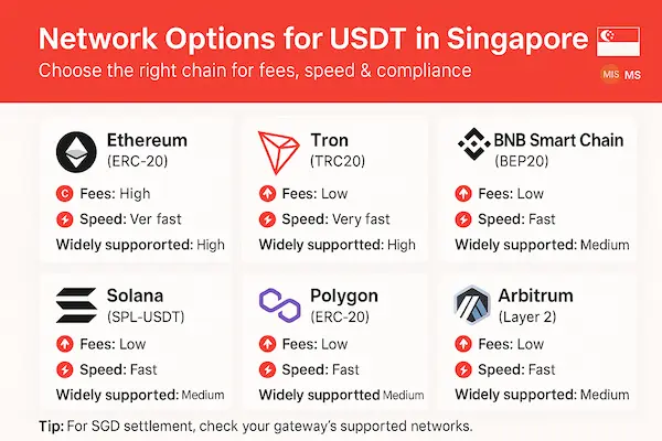 Network Options for USDT in Singapore