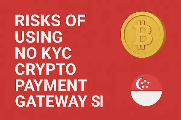 Risks of Using No KYC Crypto Payment Gateway Singapore