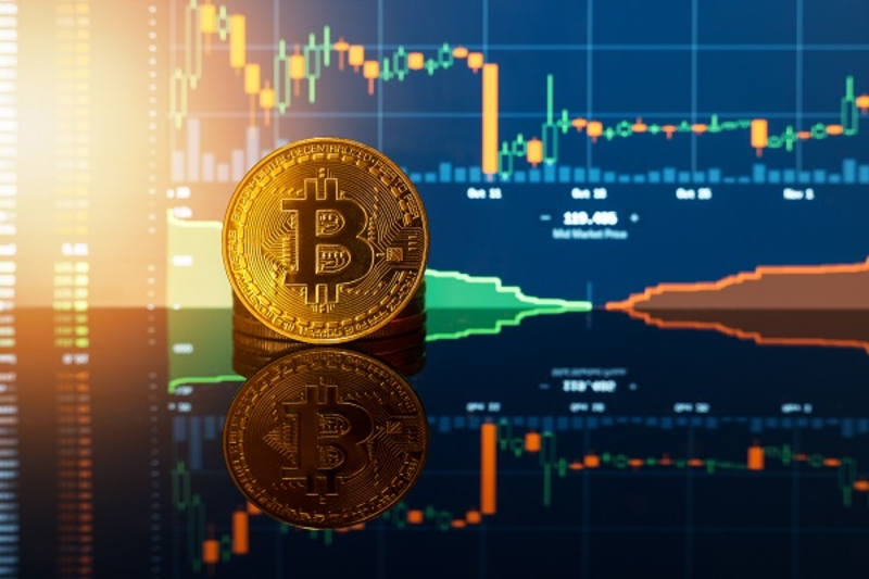 White Label Crypto Payment Gateway Software 3 White Label Crypto Payment Gateway Software